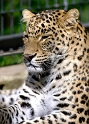 Zoo Wuppertal Tiere_DDB3294